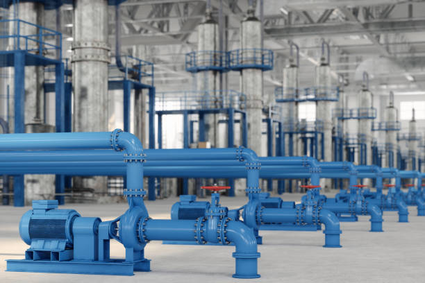 Best Hot Water Heater Installation  in Inglis, FL