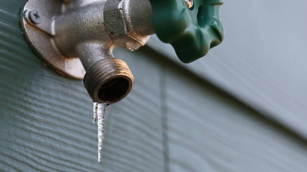 Best Affordable Plumber Near Me  in Inglis, FL