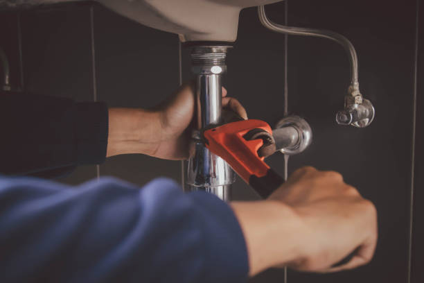 Best Plumbing Services Near Me  in Inglis, FL